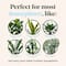 We The Wild™ Self-Watering Plant Globes